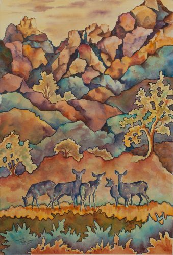 Back Country by Judy Thompson