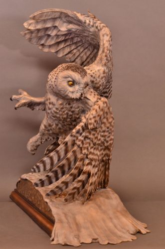 A bronze sculpture by Jim Green of a female Snowy Owl in flight.