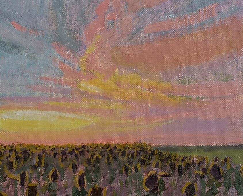 Sunflower Field, Evening