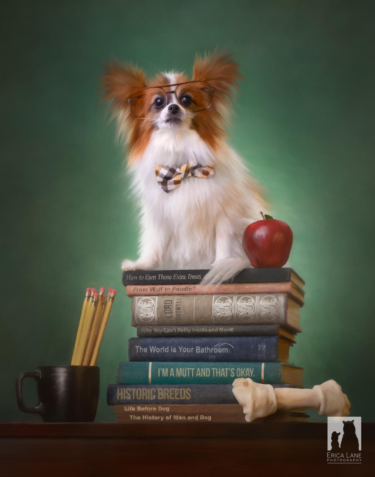 Erica Harvey Teacher's Pet 3