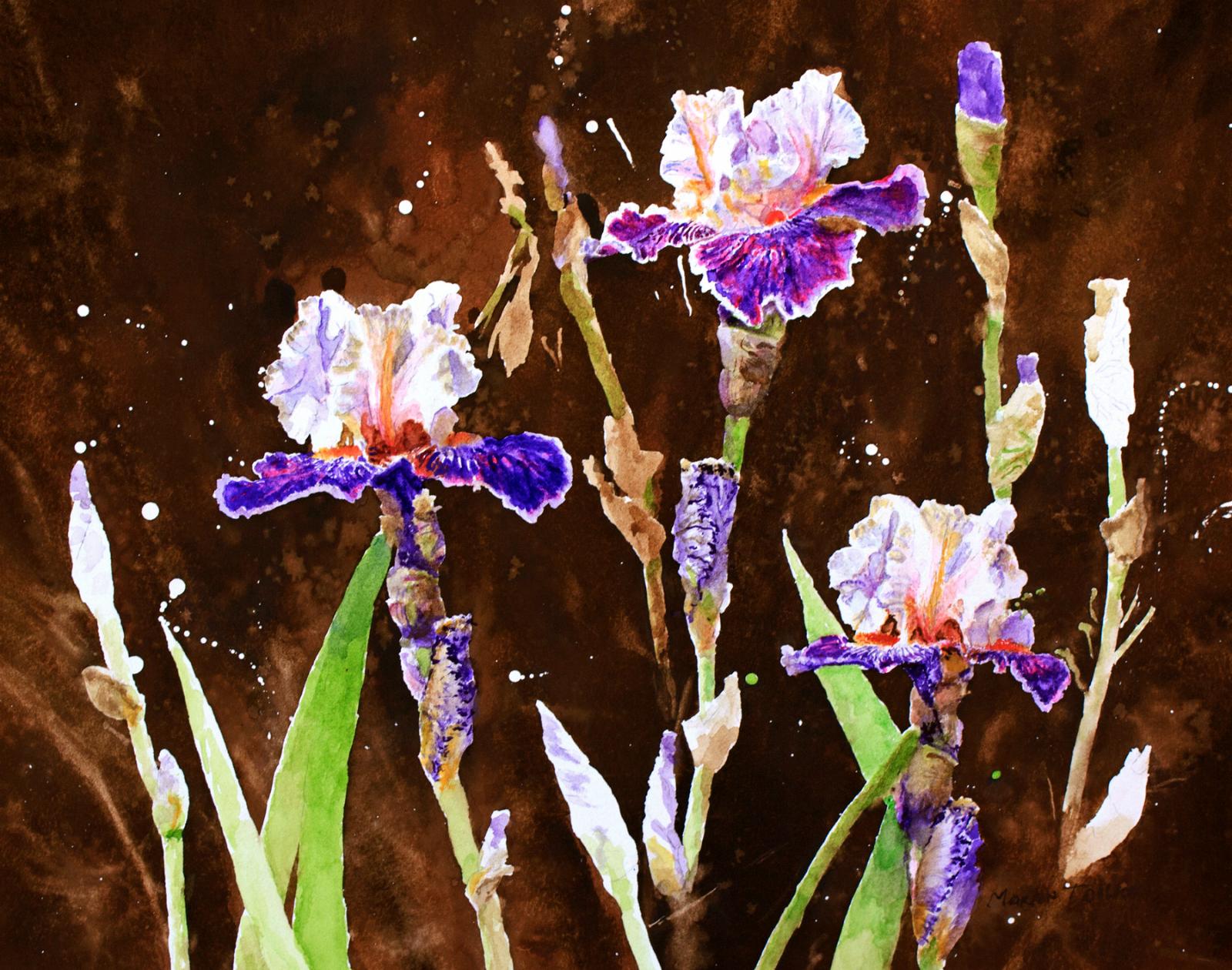 Mary Toillion..Signs of Spring.1